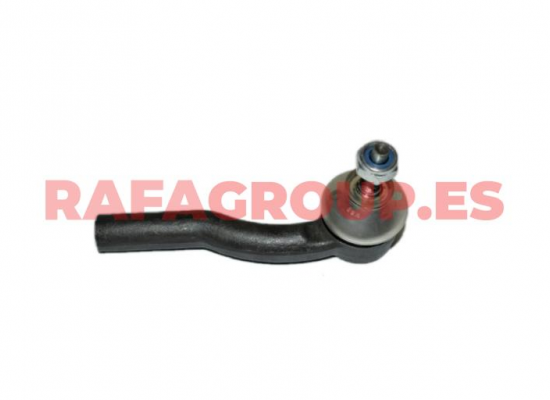 19012 - SPURSTANGENKOPF